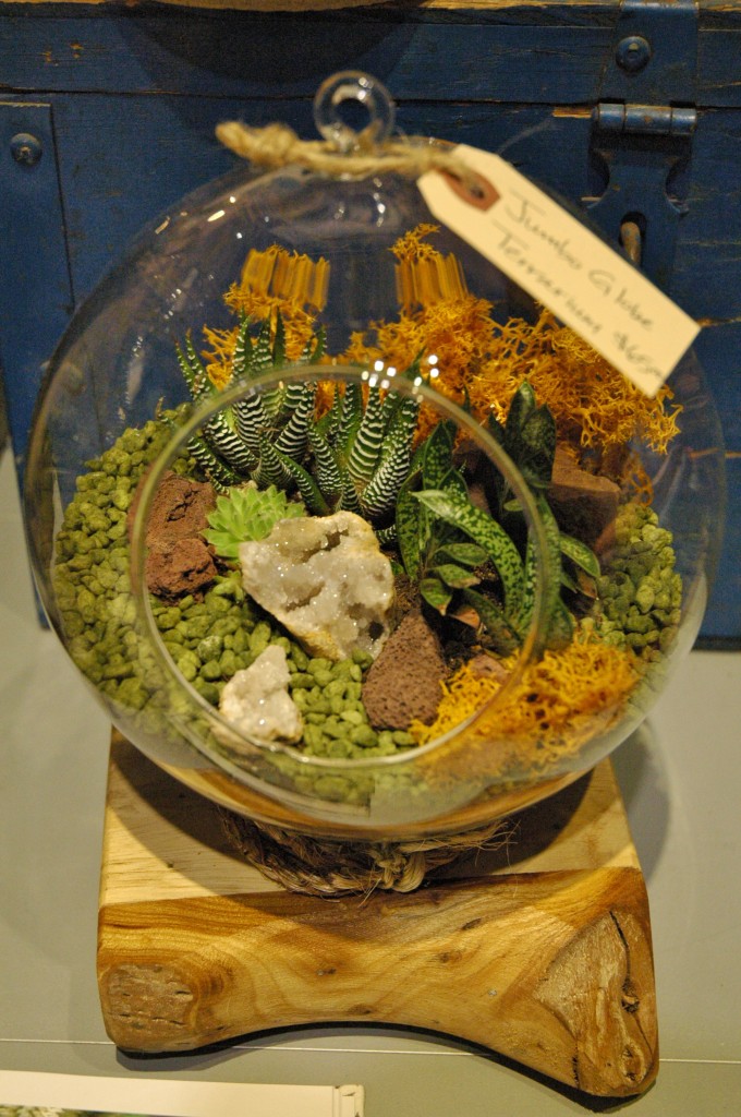 Alapash Terrariums