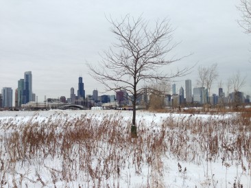 10 Ways to Have Fun in Chicago This Winter – On the Cheap